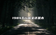 1984五行属金还是木 1984年金木水火土五行属什么