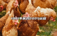 1981年属鸡2025运程 81年鸡2025年运势