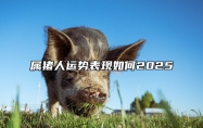 属猪人运势表现如何2025 属猪人2022运程