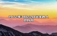 1972年3月22日出生的人命好吗 八字事业人生发展