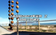 乙未日柱2023年运势 乙未日柱三命通会