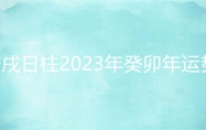 庚戌日柱2023年癸卯年运势 庚戌日柱走什么大运好