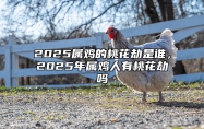 2025属鸡的桃花劫是谁，2025年属鸡人有桃花劫吗 2025年属鸡的是什么命