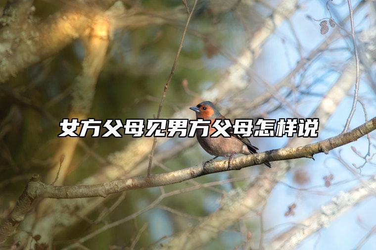 女方父母见男方父母怎样说 见男方父母注意啥