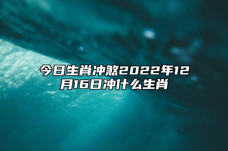 今日生肖冲煞2022年12月16日冲什么生肖,属什么生肖