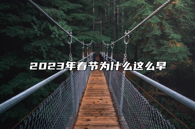 2023年春节为什么这么早 放烟花有什么危害吗