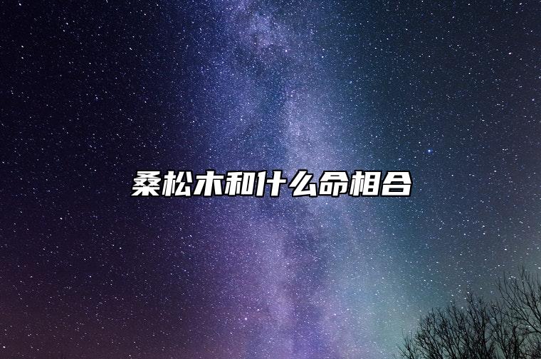 桑松木和什么命相合 霹雳火命性格互补