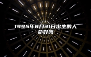 1995年8月31日出生的人命好吗 事业财运、感情婚姻、健康分析