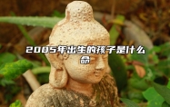 2005年出生的孩子是什么命 2005年是什么年属鸡的是什么命