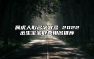 属虎人取名字宜忌 2022出生宝宝取喜用名推荐