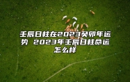 壬辰日柱在2023癸卯年运势 2023年壬辰日柱命运怎么样