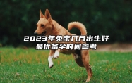 2023年兔宝几月出生好最优备孕时间参考