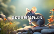 2025属鼠的运气 属鼠2025的运势