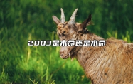 2003是木命还是水命 2003年属木还是属水还是属金