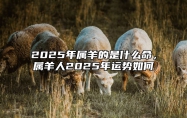 2025年属羊的是什么命，属羊人2025年运势如何 2025年属羊人的全年运势详解