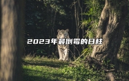 2023年最倒霉的日柱 走霉运的日柱有哪些