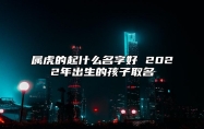 属虎的起什么名字好 2022年出生的孩子取名