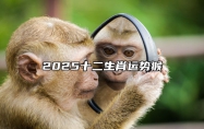 2025十二生肖运势猴 2025年生肖猴