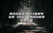 丙戌日柱在2023癸卯年运势 2023年丙戌日柱命运怎么样