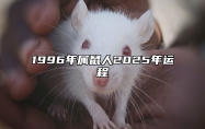 1996年属鼠人2025年运程