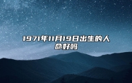 1971年11月19日出生的人命好吗 今日不同时辰生辰八字解析