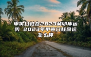 甲寅日柱在2023癸卯年运势 2023年甲寅日柱命运怎么样