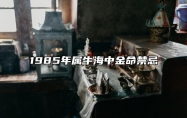 1985年属牛海中金命禁忌 85年属牛一生感情运势