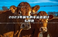 2023年属牛的幸运色是什么颜色 属牛在兔年穿什么颜色的衣服好