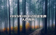 1995年10月12日出生的人命好吗 今日生辰八字查询