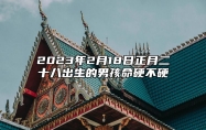 2023年2月18日正月二十八出生的男孩命硬不硬 八字命局富裕