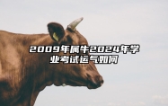 2009年属牛2024年学业考试运气如何