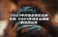 2023年开始走桃花运的生肖 2023年桃花运爆棚的生肖运势