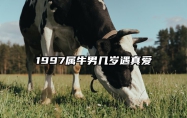 1997属牛男几岁遇真爱 1997属牛的男生多少岁结婚好