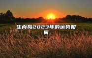 生肖狗2023年的运势如何 2023年属狗人整体运势