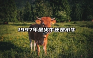 1997年是火牛还是水牛 1997年是火牛还是水牛万年历