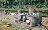 2022属鼠和虎几月结婚好 十月结婚夫妻互帮互助