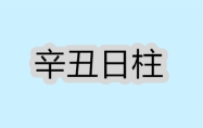 辛丑日柱是上等日柱吗? 辛丑日柱命运