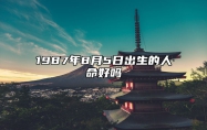 1987年8月5日出生的人命好吗 生辰八字运势查询