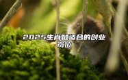 2025生肖鼠适合的创业岗位 ​2025生肖鼠做什么生意最旺