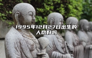 1995年12月27日出生的人命好吗 生辰八字分析五行缺什么