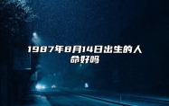 1987年8月14日出生的人命好吗 是什么命