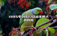 1995年9月27日出生的人命好吗 生辰八字解析