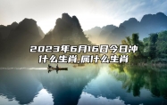 2023年6月16日今日冲什么生肖,属什么生肖 相刑 相合