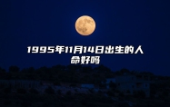 1995年11月14日出生的人命好吗 五行缺什么命运好不好