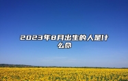 2023年8月出生的人是什么命 8月出生的人性格怎么样