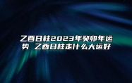 乙酉日柱2023年癸卯年运势 乙酉日柱走什么大运好