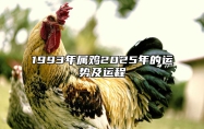 1993年属鸡2025年的运势及运程 1993年属鸡2025年的运势及运程男