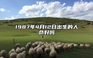 1987年4月12日出生的人命好吗 八字事业财运、感情婚姻