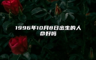 1996年10月8日出生的人命好吗 生辰八字运势、婚姻、事业分析