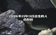 1996年2月13日出生的人命好吗 八字五行查询揭示命运